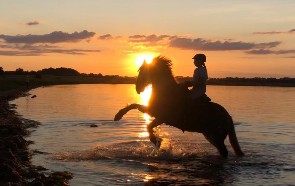 Strandreiten an der Ostsee